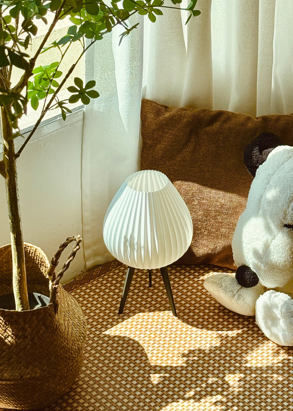 Shell